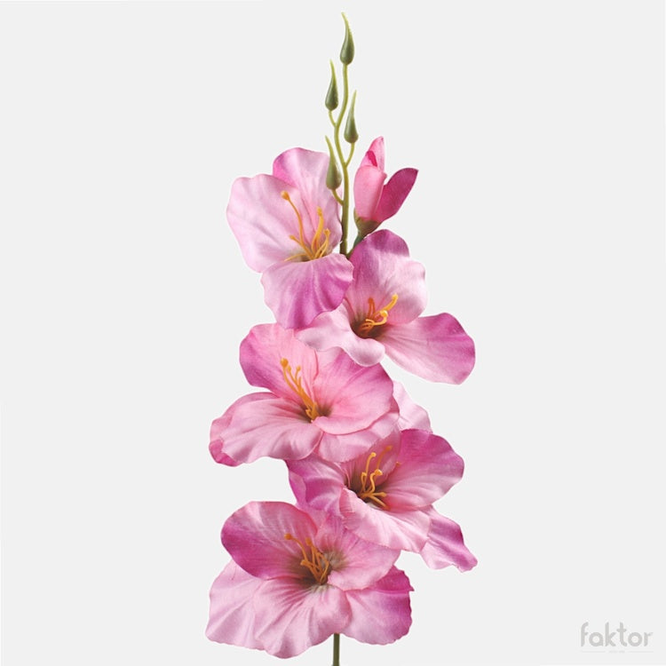 Gladiolus satiini tekokukka t.t. pink/green center