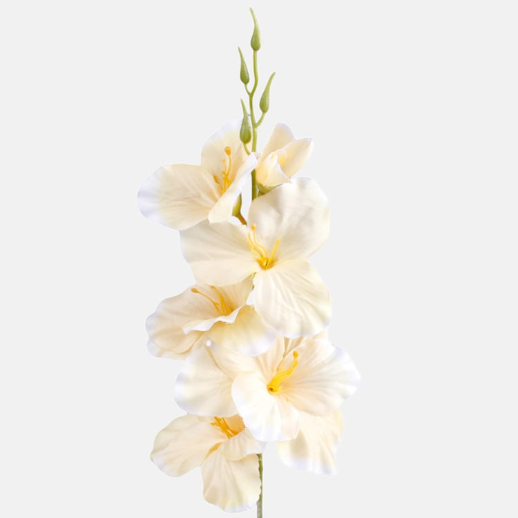 Satiinigladiolus Vanilja/valkoinen reuna - Tekokukat.fi