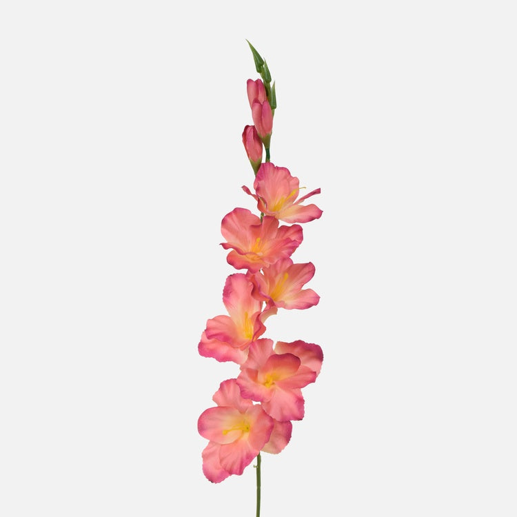 Gladiolus Vaaleanpunainen - Tekokukat.fi