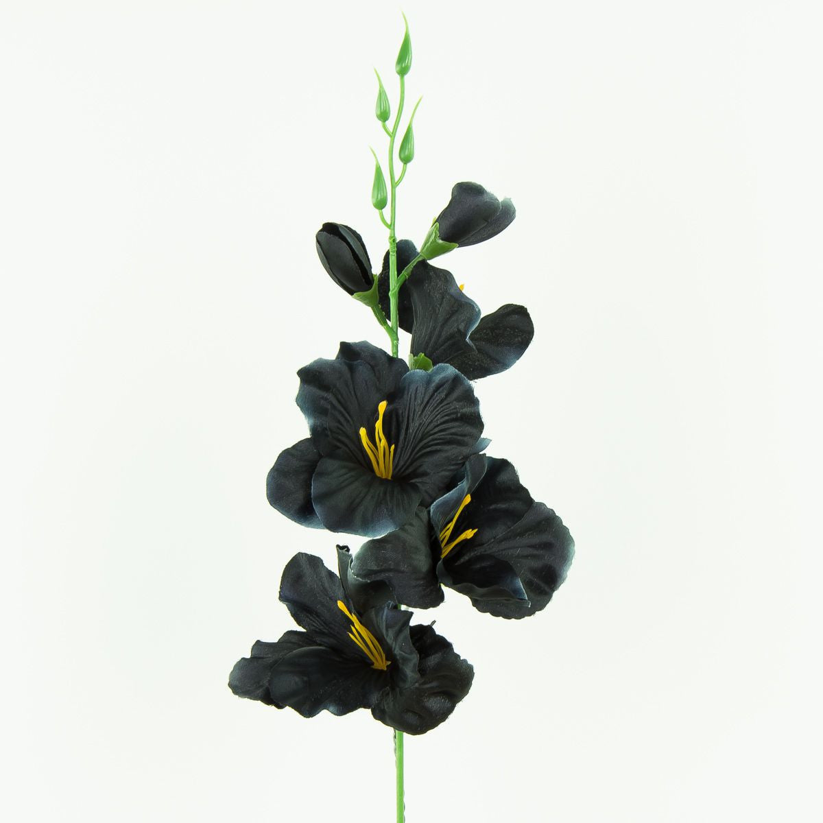 Musta/valkoinen gladiolus – tekokukka, satiini, 12 kpl