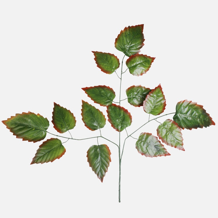 Leppän oksa 3 x 5 Vihreä/punainen reuna - Tekokukat.fi