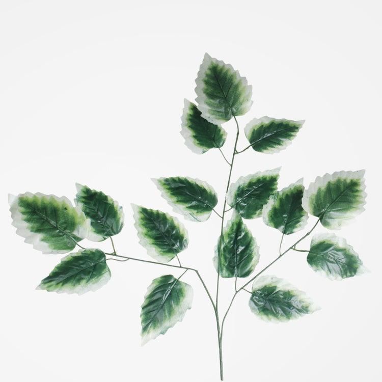 Leppän oksa 3 x 5 Vihreä/valkoinen reuna - Tekokukat.fi