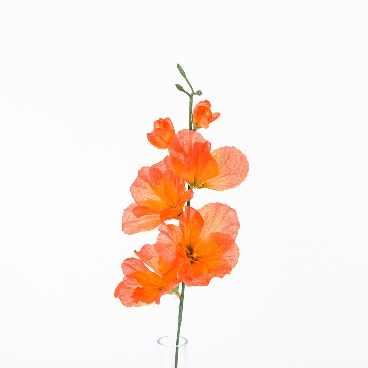 Oranssi gladiolus – tekokukka, 12 kpl