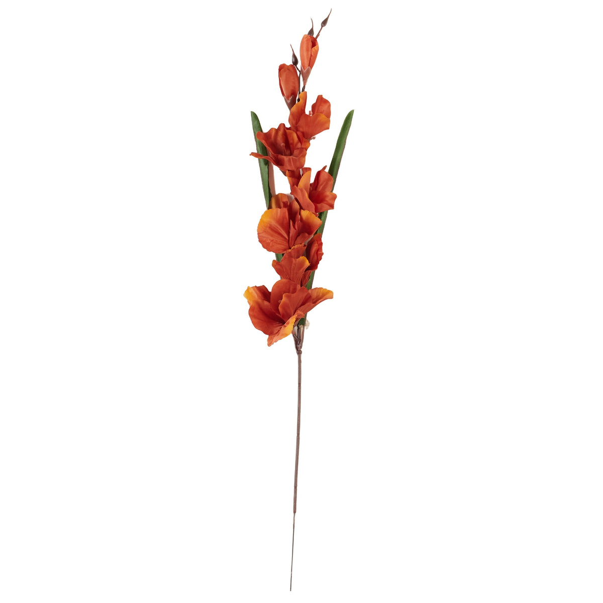 Oranssi ruskea gladiolus – tekokukka