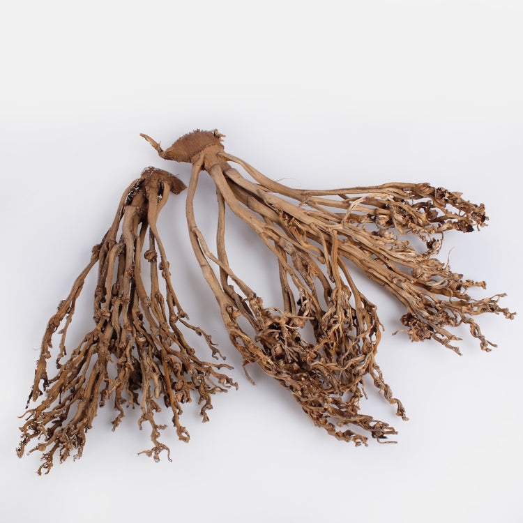 Palm Fan Twig x 2 kpl. - Tekokukat.fi