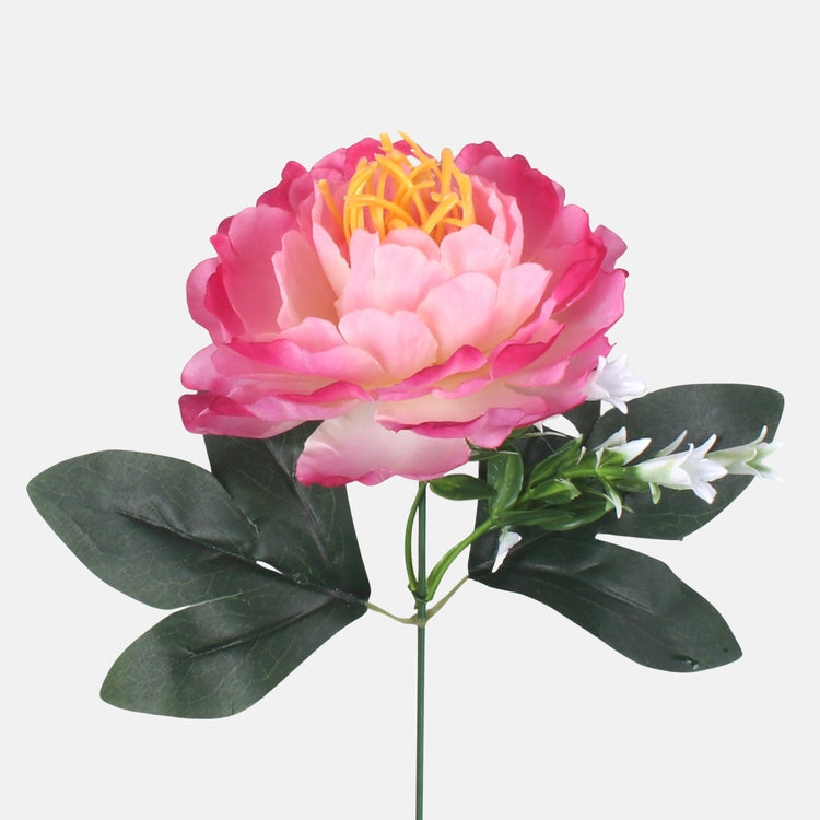 Pioni tekokukka pinkki/kerma/dk. pinkki reuna