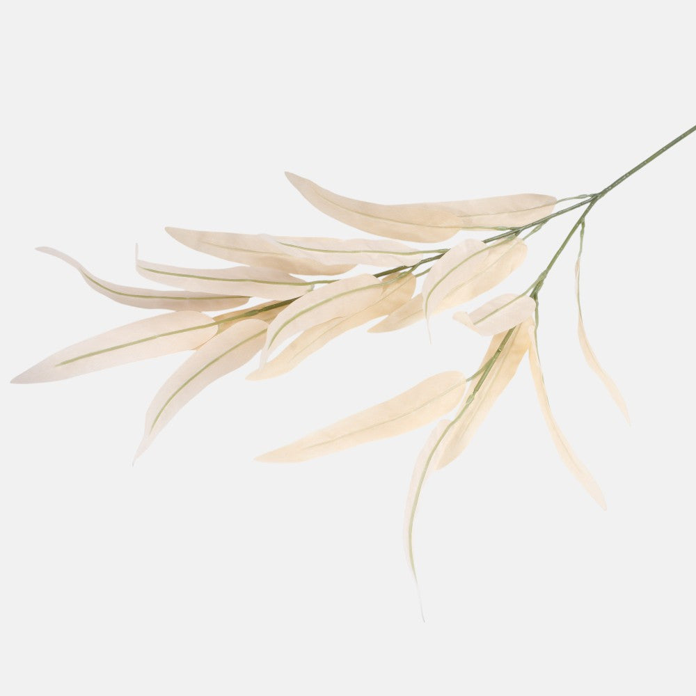 Persikanvärinen paju – koristeoksa, 80 cm