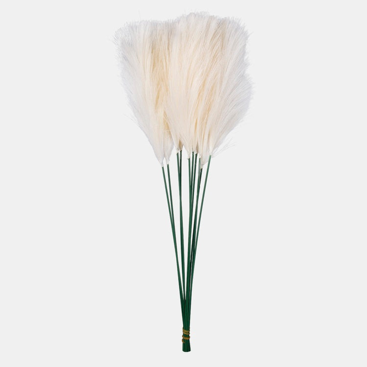 Pampas toppi
norsunluu