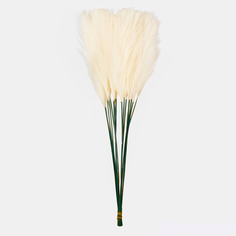 Pampas toppi
norsunluu