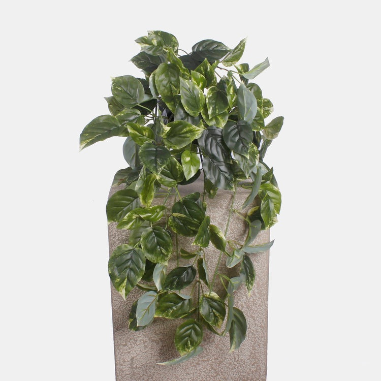Grüne Pothos Efeutute Hängepflanze künstlich 60 cm – Tekokukat