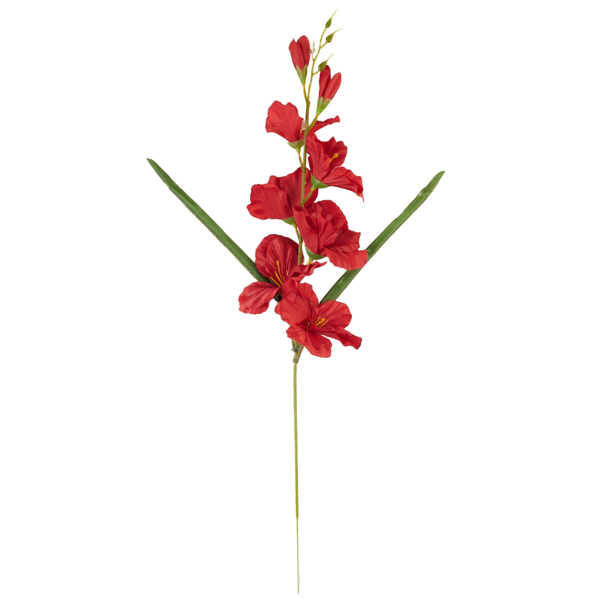 Punainen gladiolus – tekokukka