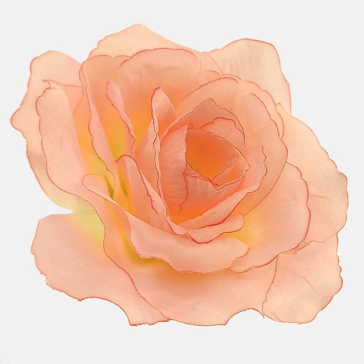 Ranskalainen ruusu Persikka/Dk. Reuna - Tekokukat.fi