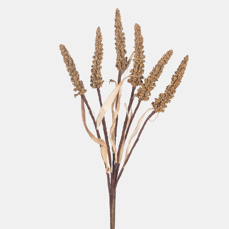 Beigefarbener Setaria-Zierzweig 63 cm – Deko-Zweige – Tekokukat