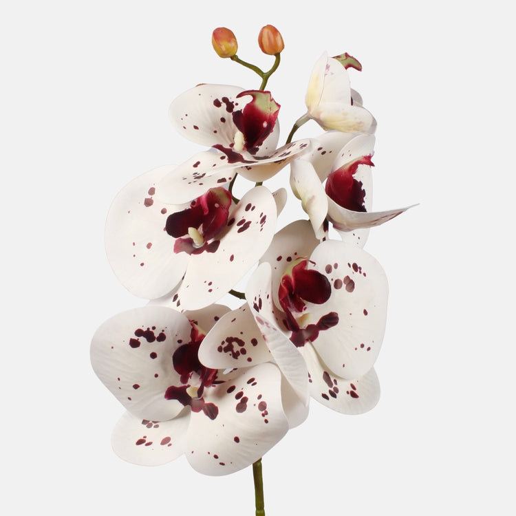 Orkidea Valkoinen/burgundi - Tekokukat.fi