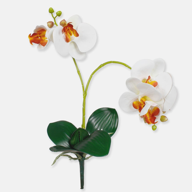 Orkidea tekokukka kerma - Tekokukat.fi