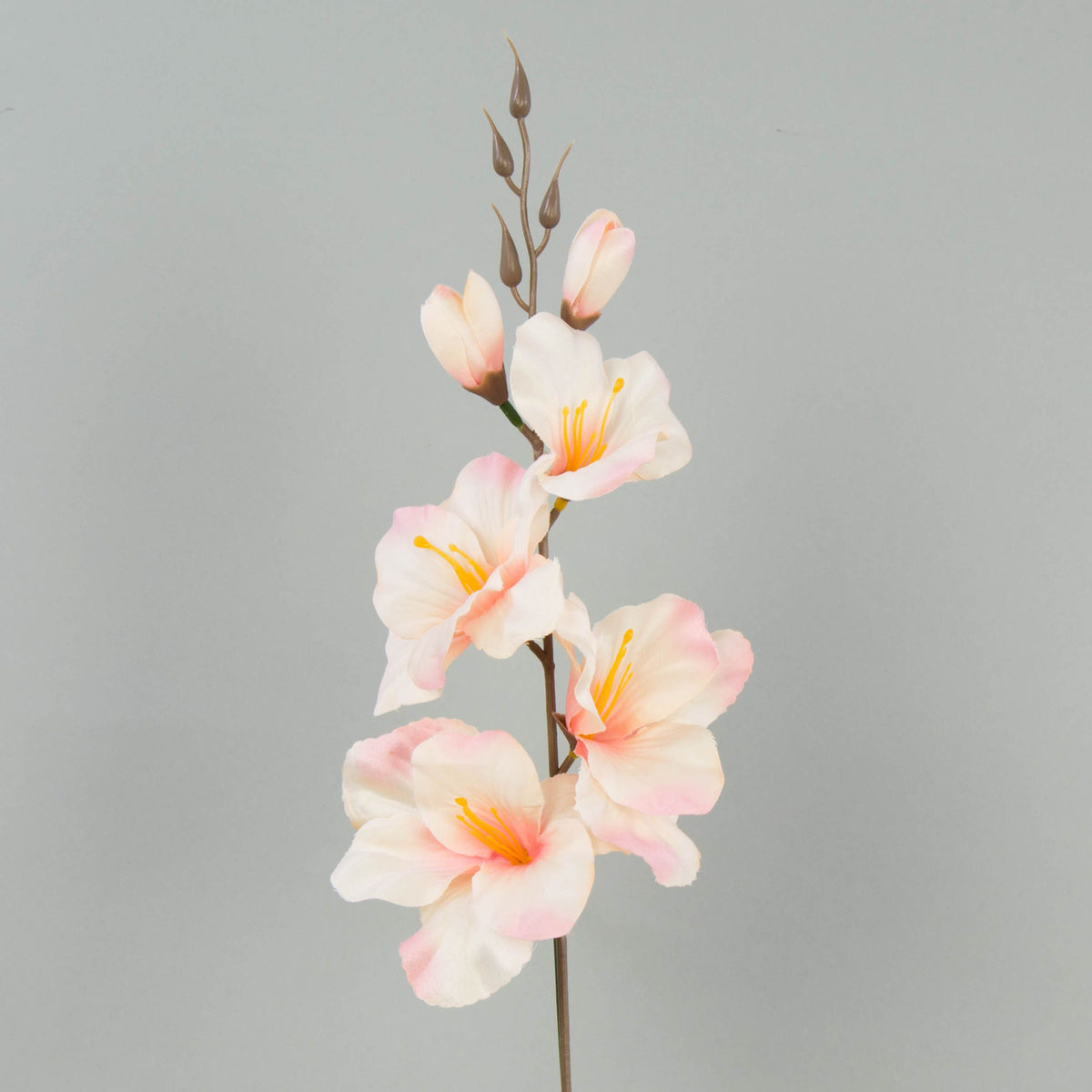 Syksyinen/kerma/vaaleanpunainen gladiolus – tekokukka, satiini, 12 kpl