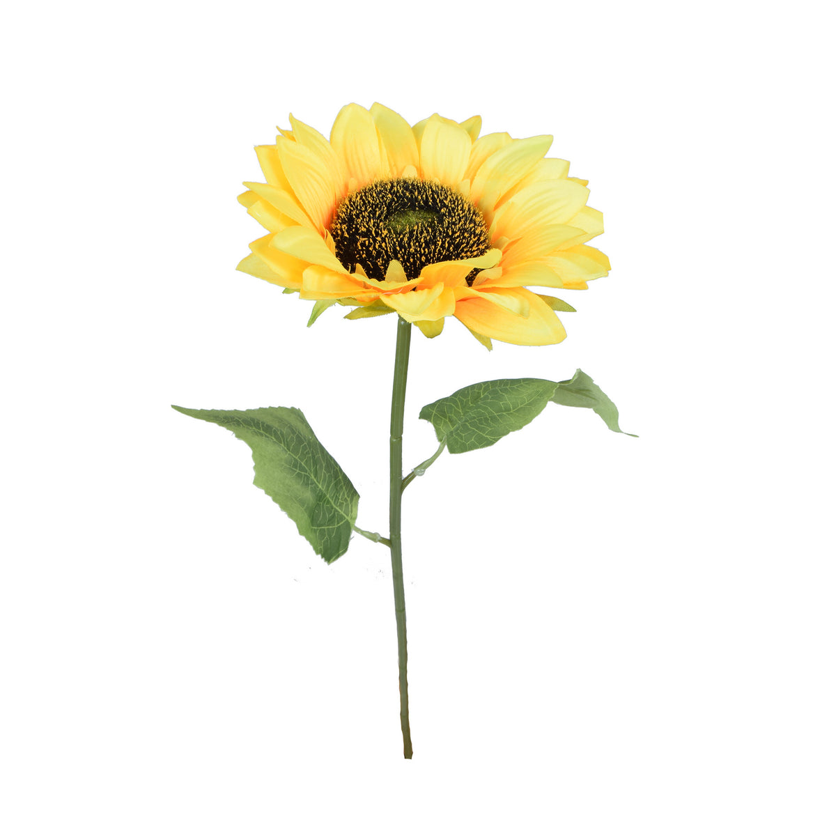Tekoauringonkukan kukkavarsi, 65 cm