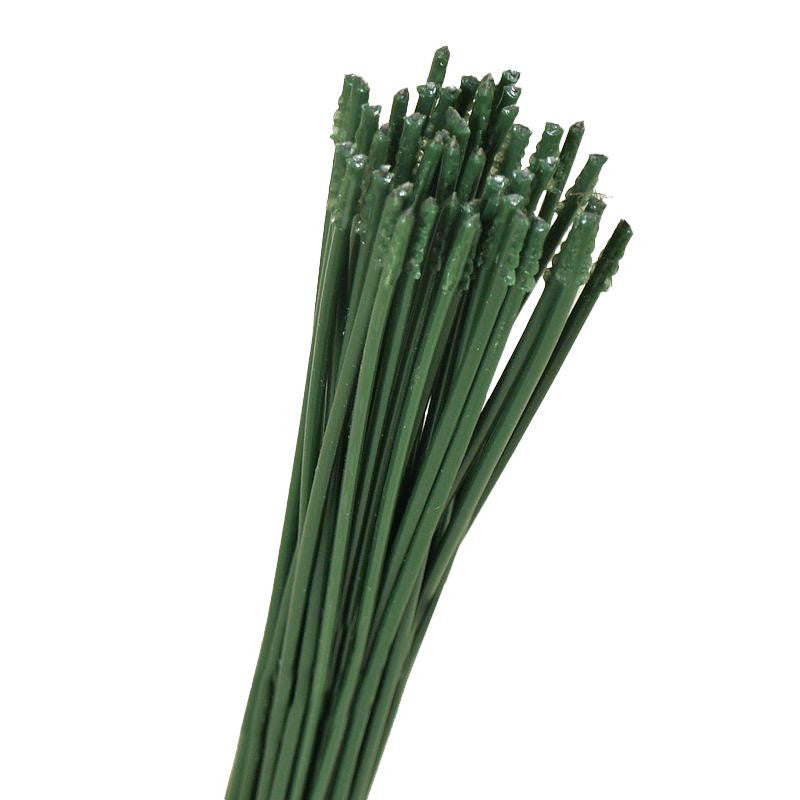 Tekokasvi, 29 cm