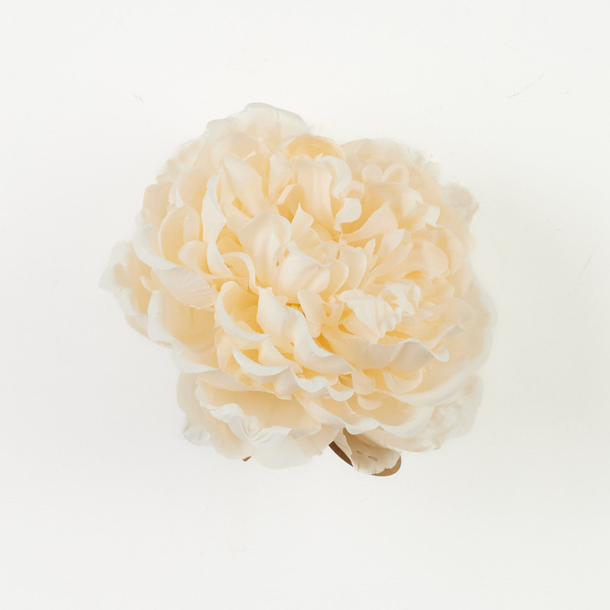 Tekopionin kukkapää, 7 cm
