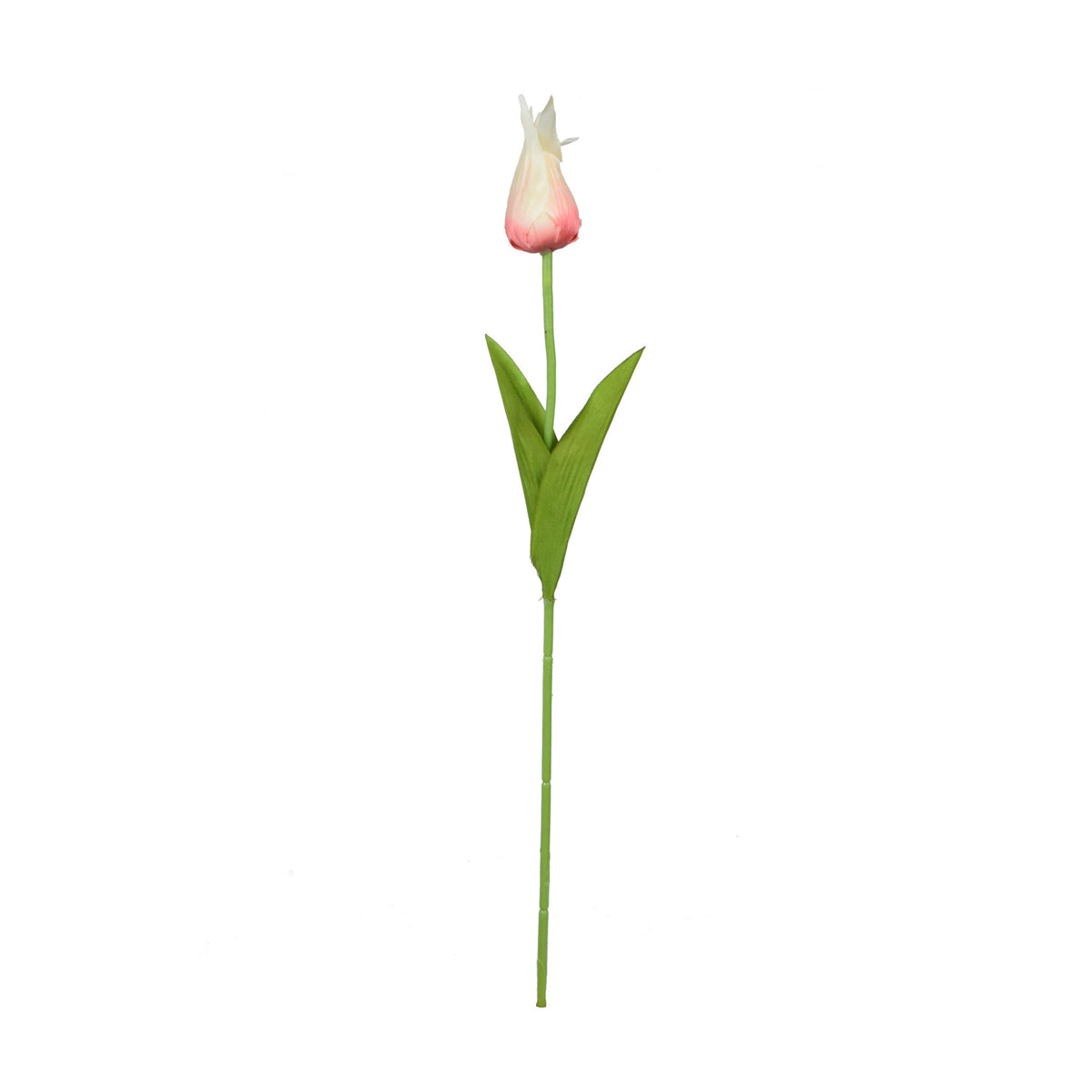 Tekotulppaanin kukkavarsi, 59 cm