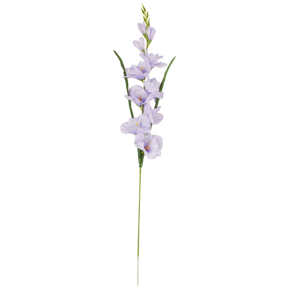 Vaalea violetti gladiolus – tekokukka