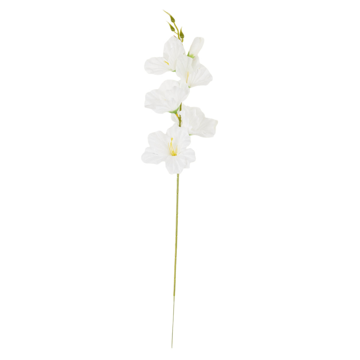 Valkoinen gladiolus – tekokukka