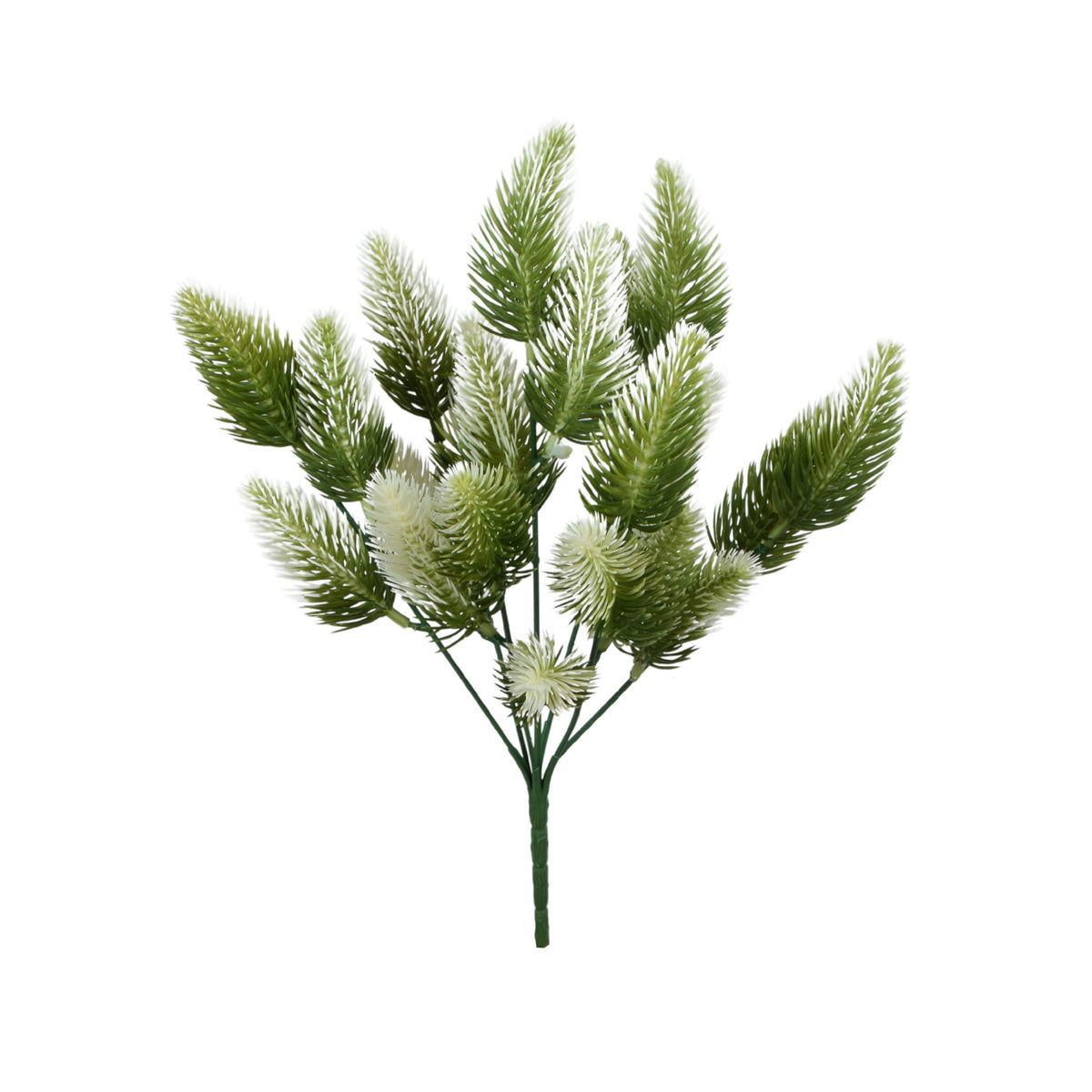 Valkoinen mänty – ruukkutekokasvi, 33 cm