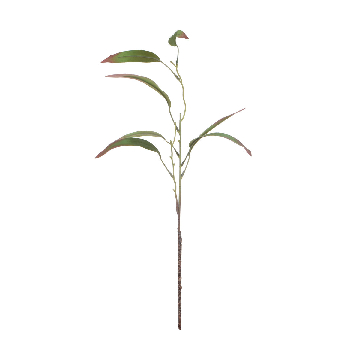 Värilajitelma koristeoksa, 60 cm