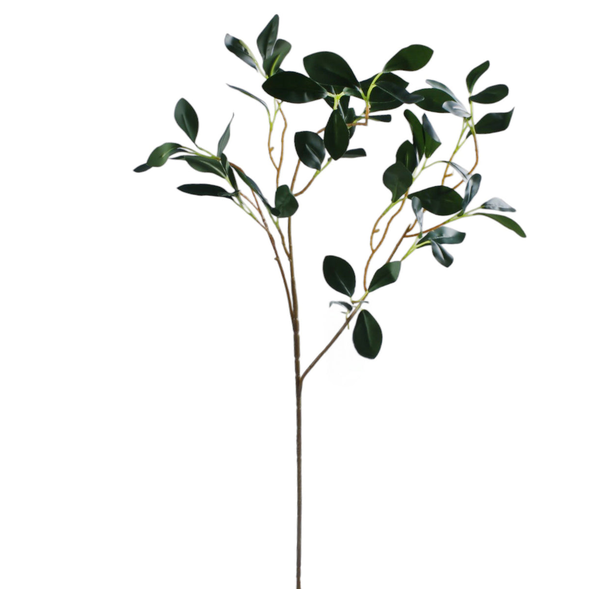 Vihreä fiikus – koristeoksa, 77 cm