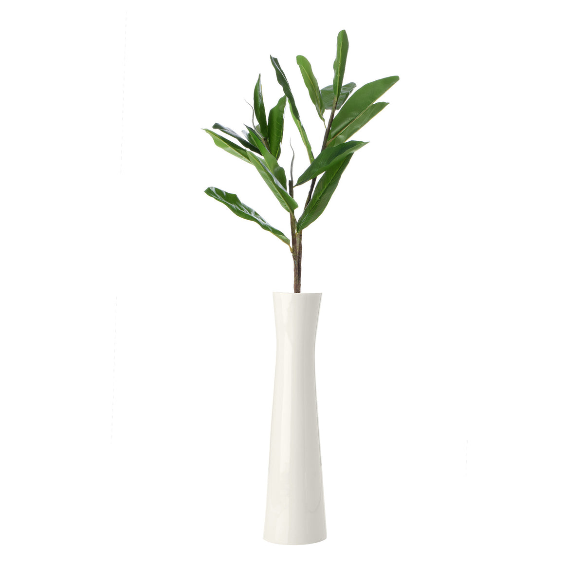 Vihreä magnolia – koristeoksa, 85 cm