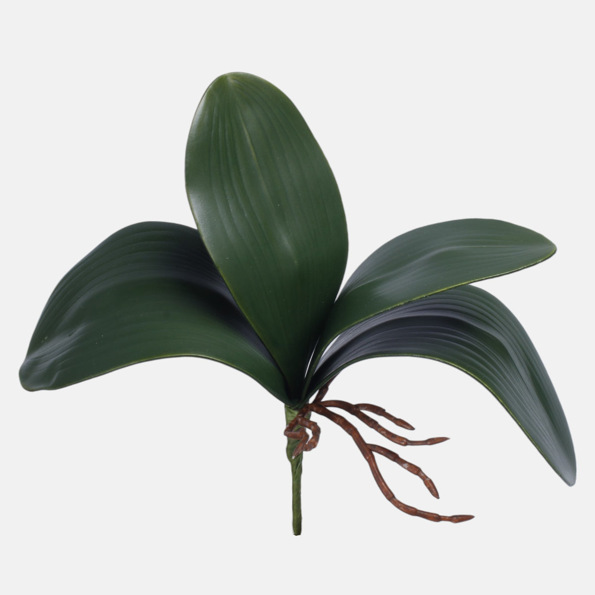Vihreä orkidea – koristeoksa, 23 cm