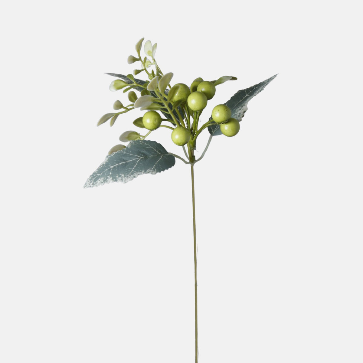 Vihreä puksipensas – koristeoksa, 40 cm