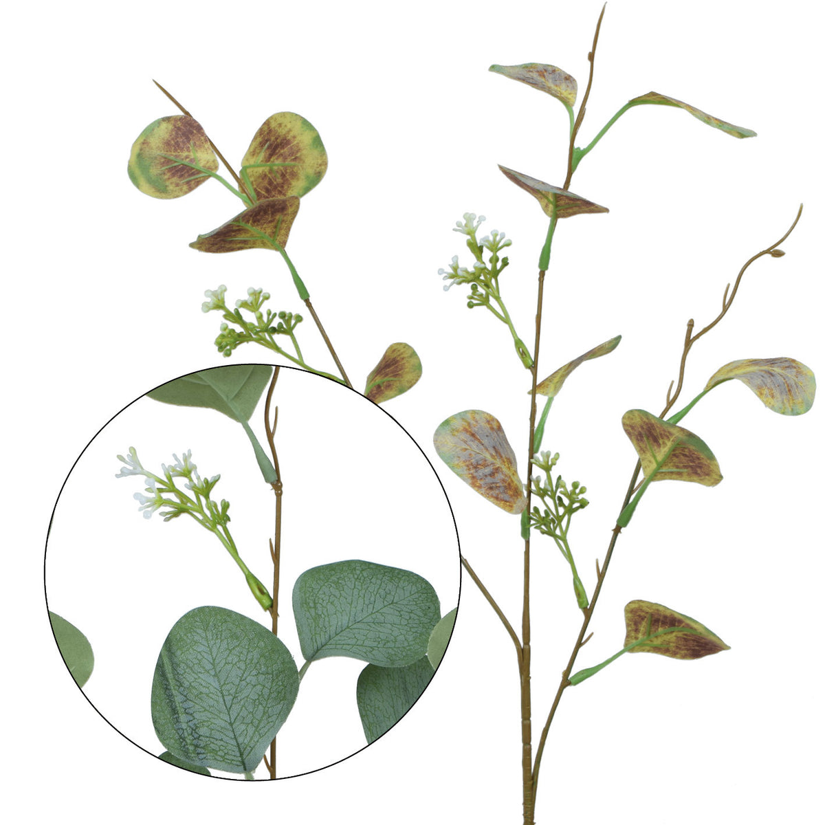 Vihreä/ruskea eukalyptus – koristeoksa, 63 cm
