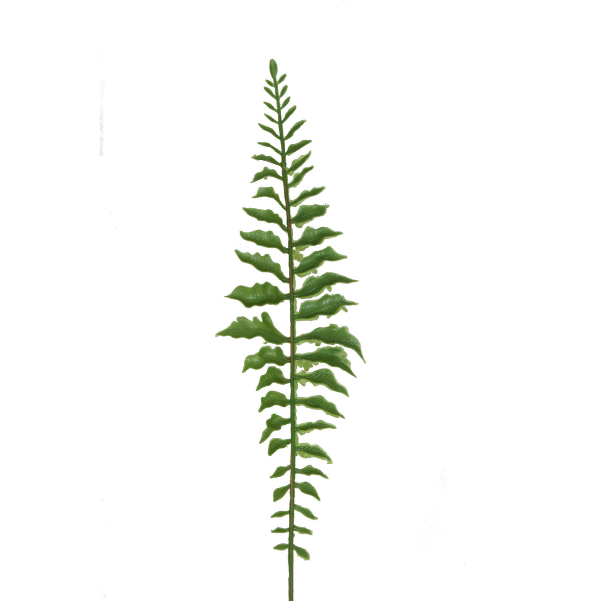 Vihreä saniainen – tekolehti, 42 cm