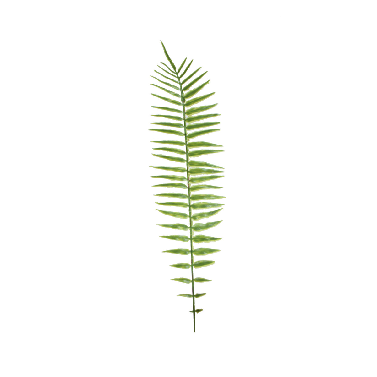 Vihreä saniainen – tekolehti, 52 cm