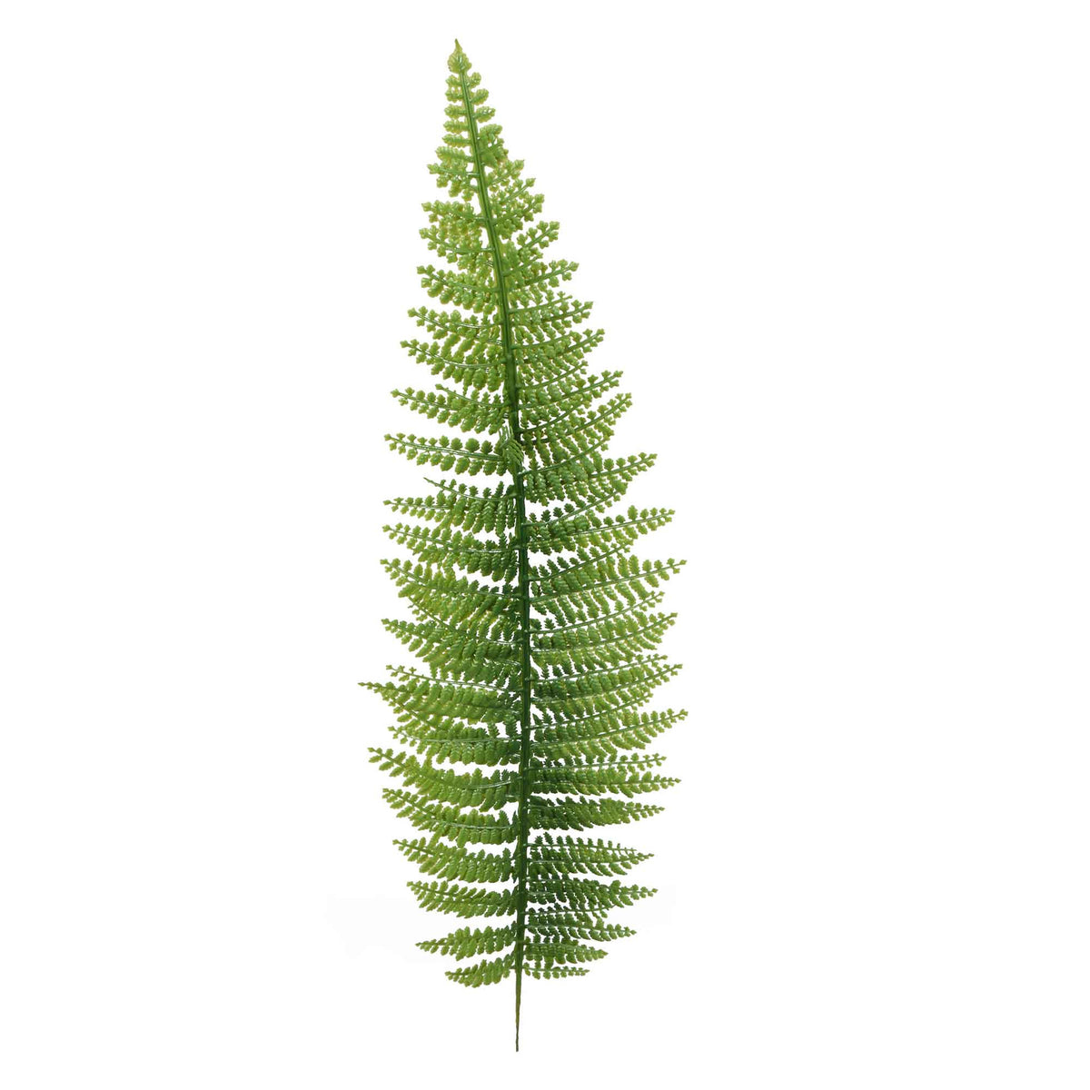 Vihreä saniainen – tekolehti, 55 cm