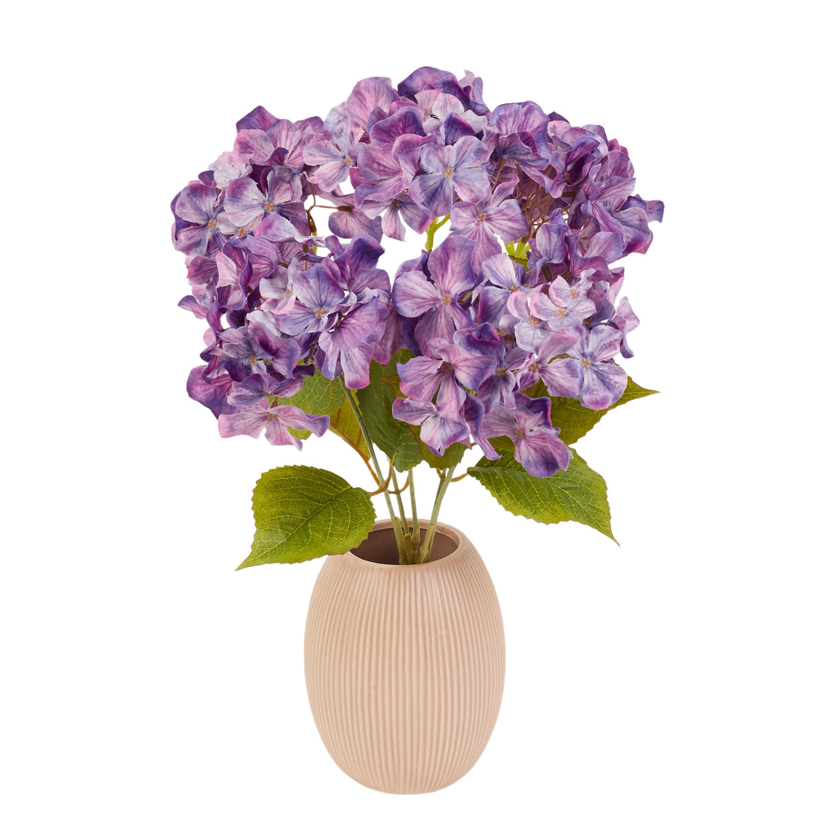 Violetti tekohortensian kimppu