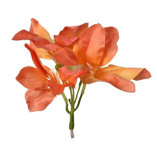 Amarylis Oranssi - Tekokukat.fi