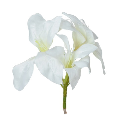 Amarylis Valkoinen - Tekokukat.fi