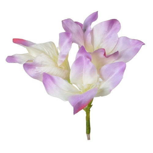 Amarylis Violetti - Tekokukat.fi