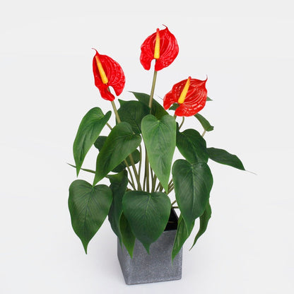 Anthurium ruukussa Punainen - Tekokukat.fi