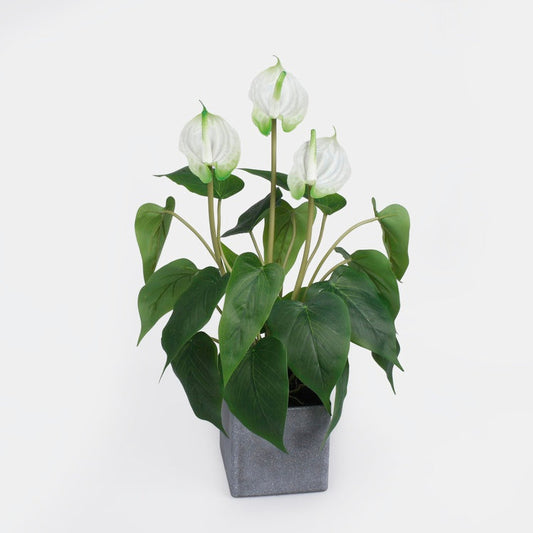 Anthurium ruukussa Valkoinen - Tekokukat.fi