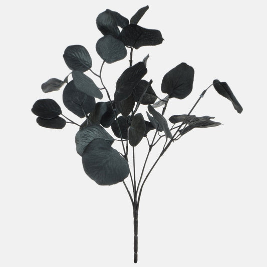 Apila x 5 Musta - Tekokukat.fi