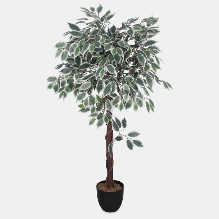 Fiikus 1.20 cm - Tekokasvi - Tekokukat.fi