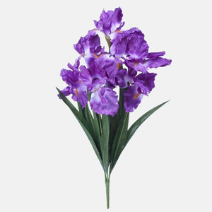 Violetti