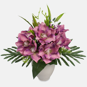 Malva