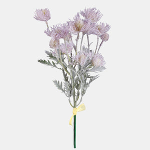 Violetti
