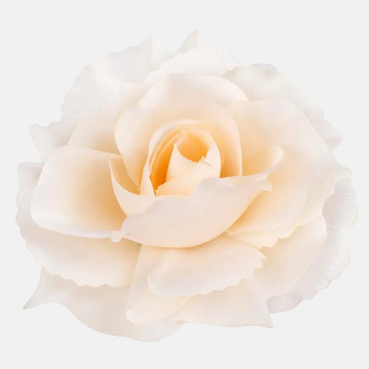 Persikanvärinen ruusu