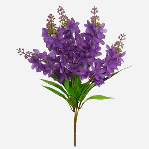 Violetti/Lila