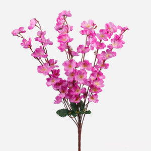 Violetti